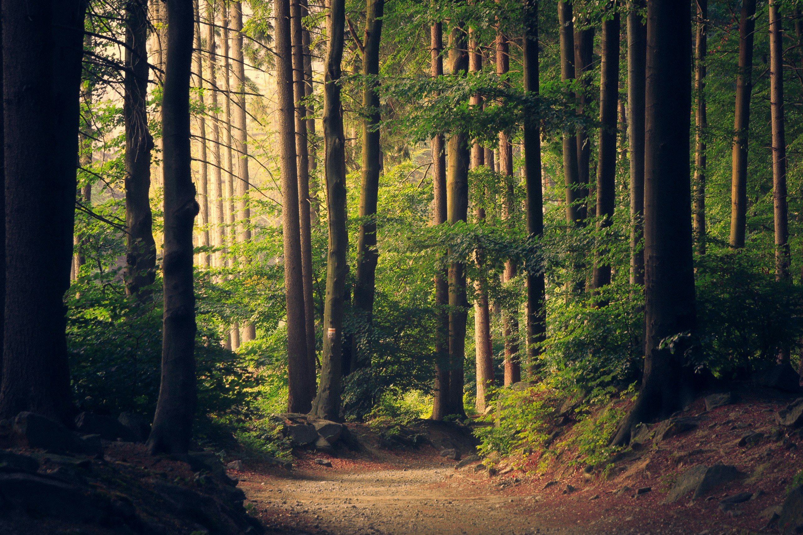 natureza